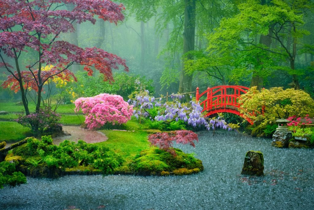 Jardin japonais : comment faire pour en créer un ?